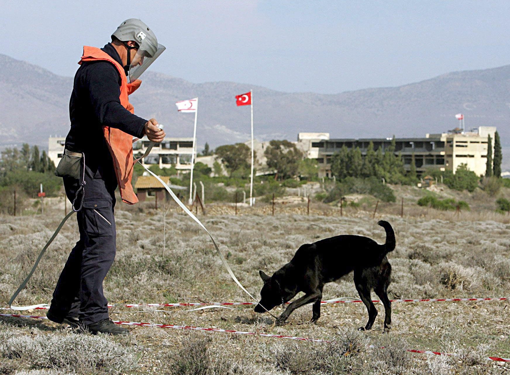 Gefährlich: Mensch und Hund auf der Suche nach versteckten Landminen.