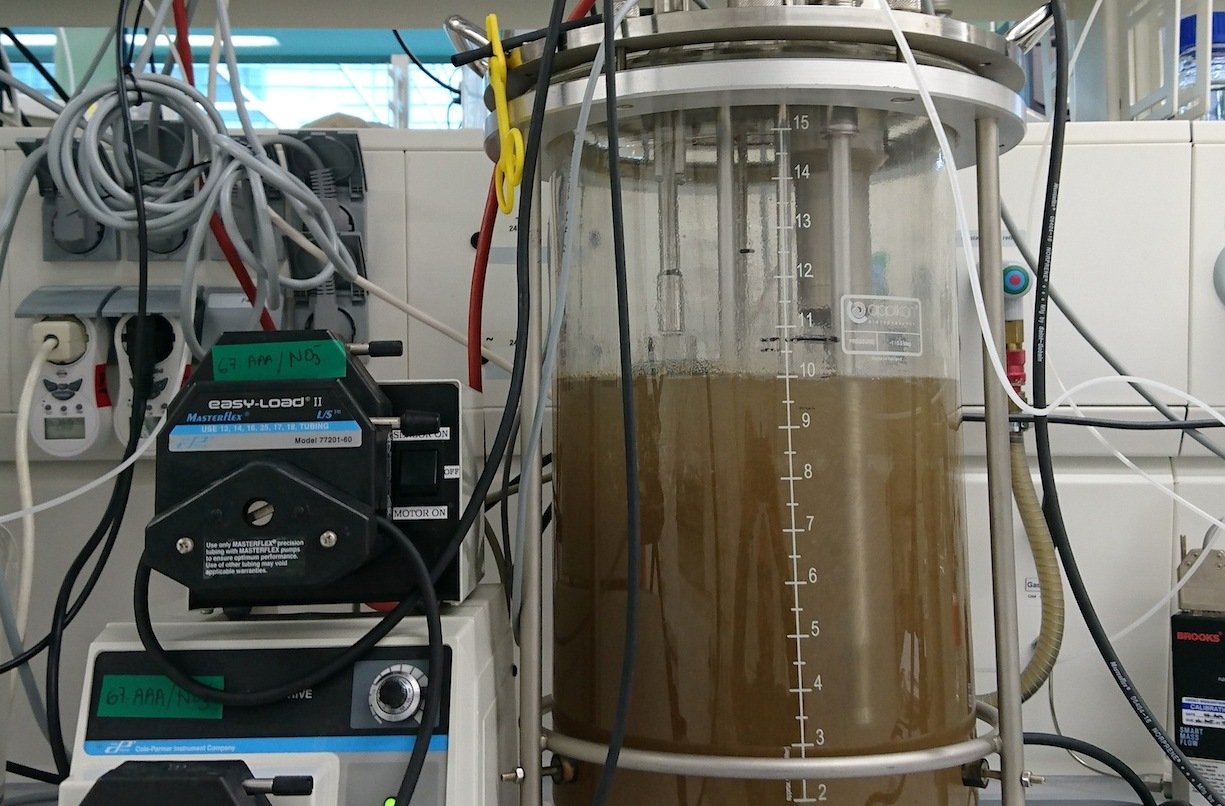 In dieser Laborprobe aus dem Twentekanal in den Niederlanden fanden Forscher jetzt die Mikrobe, die Methan in CO2 umwandeln kann.