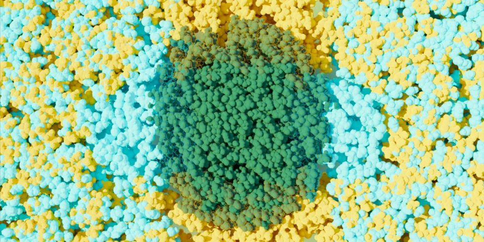 Ein organisches Lösungsmittel (gelb) und Wasser (blau) trennen sich. Sie bilden Nanocluster mit hydrophoben und hydrophilen Abschnitten von grün gefärbtem Pflanzenmaterial.
Foto: Michelle Lehman / ORNL