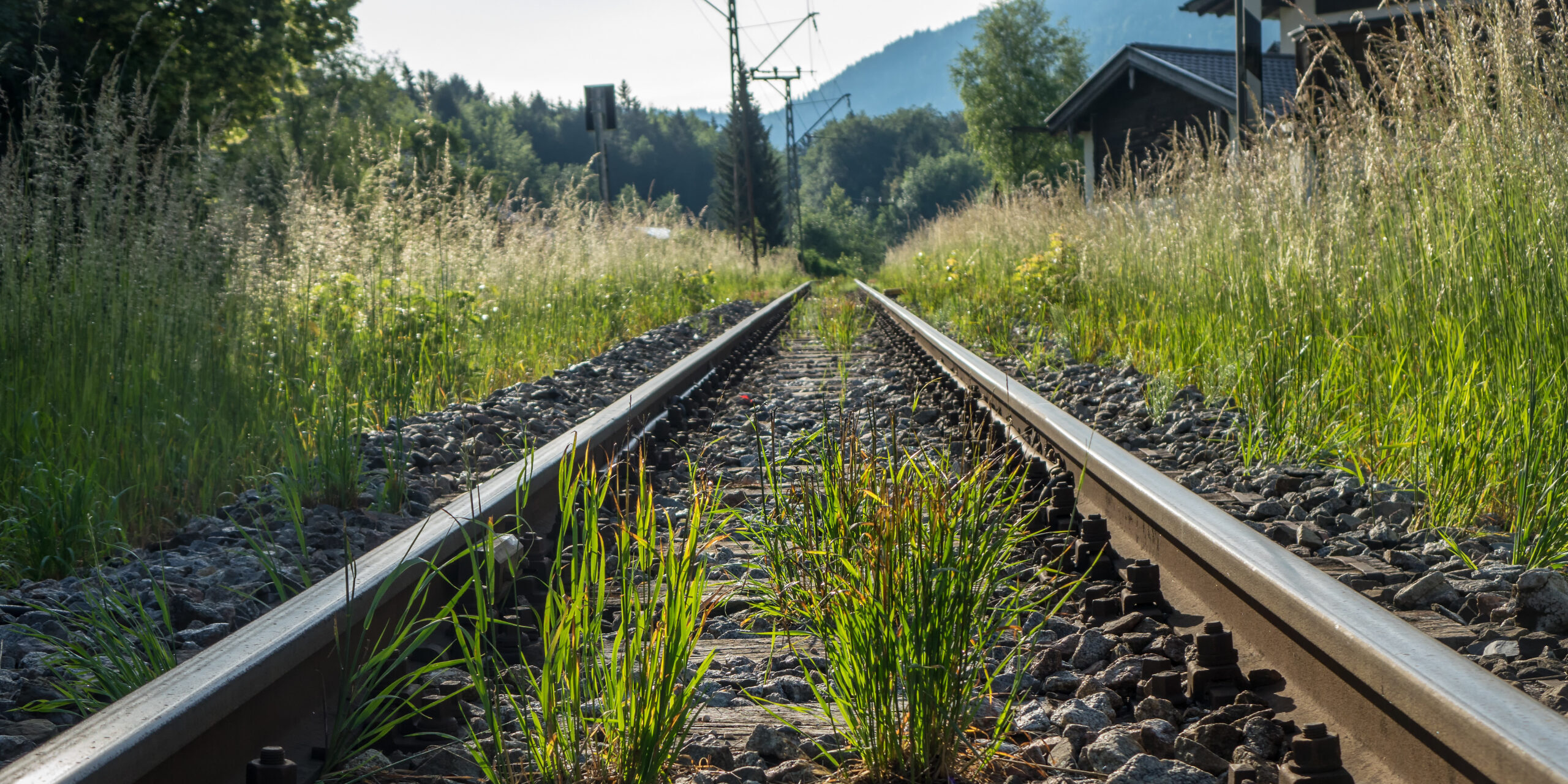 Experten fordern: Stillgelegte Bahnstrecken reaktivieren