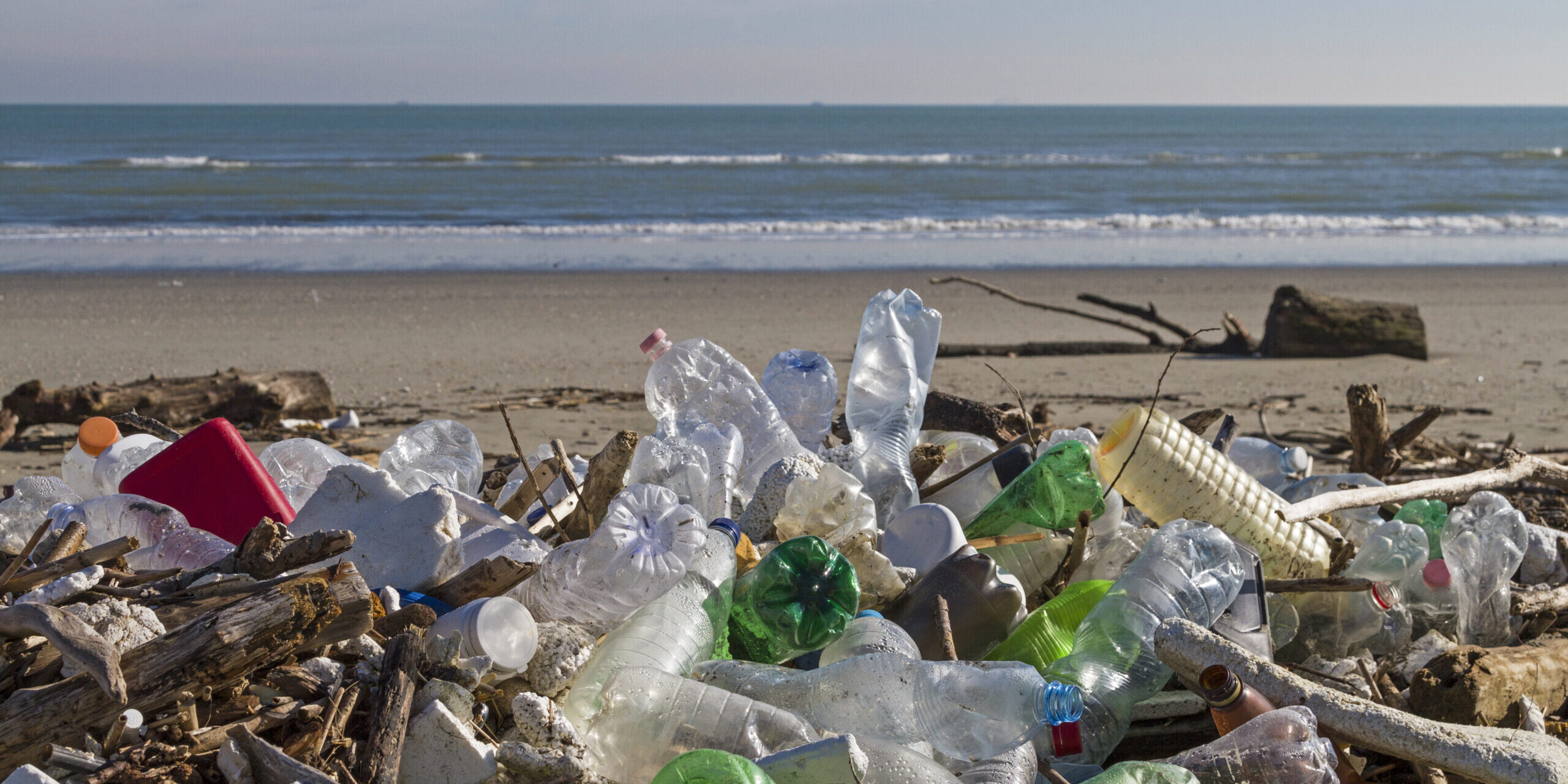 Fünf Firmen verursachen ein Viertel des Umwelt-Plastikmülls