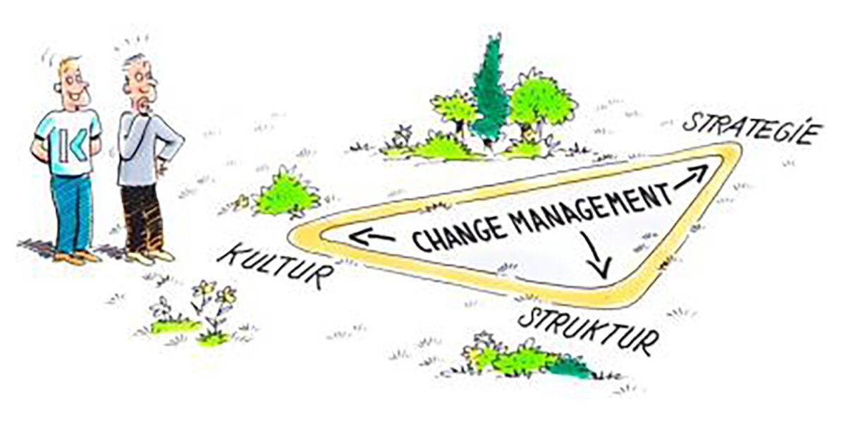 Change-Management: das Beratungsdreieck.  Grafik: Kraus & Partner 