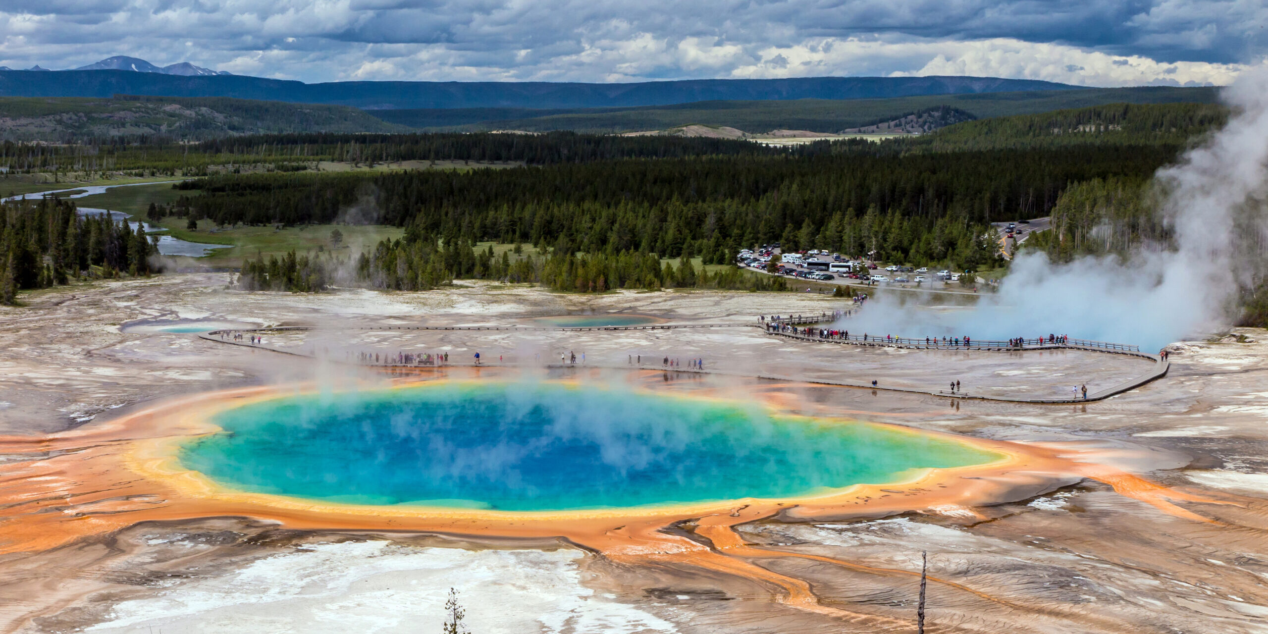 Wie Archaebakterien Wasserstoff nutzen und die Energiewende voranbringen können