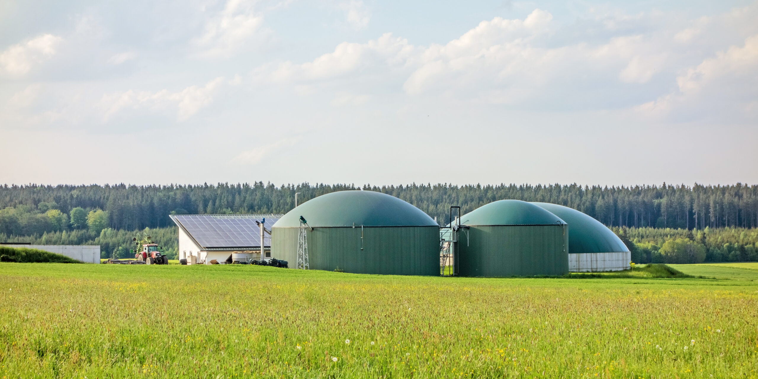 Droht ein Kahlschlag bei älteren Biogasanlagen?