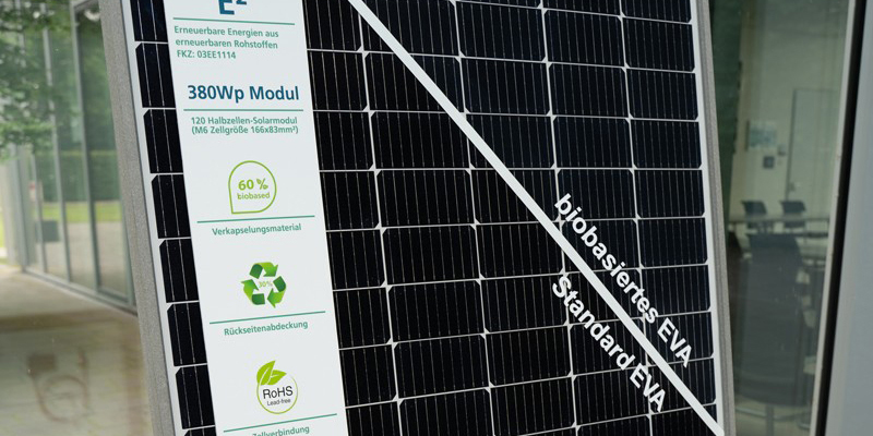 Das 380 Watt-Solarmodul entstand als "Bio-Modul-Prototyp" innerhalb des Projekts "E2 – E-Quadrat. Erneuerbare Energien aus Erneuerbaren Rohstoffen". Foto: Fraunhofer CSP