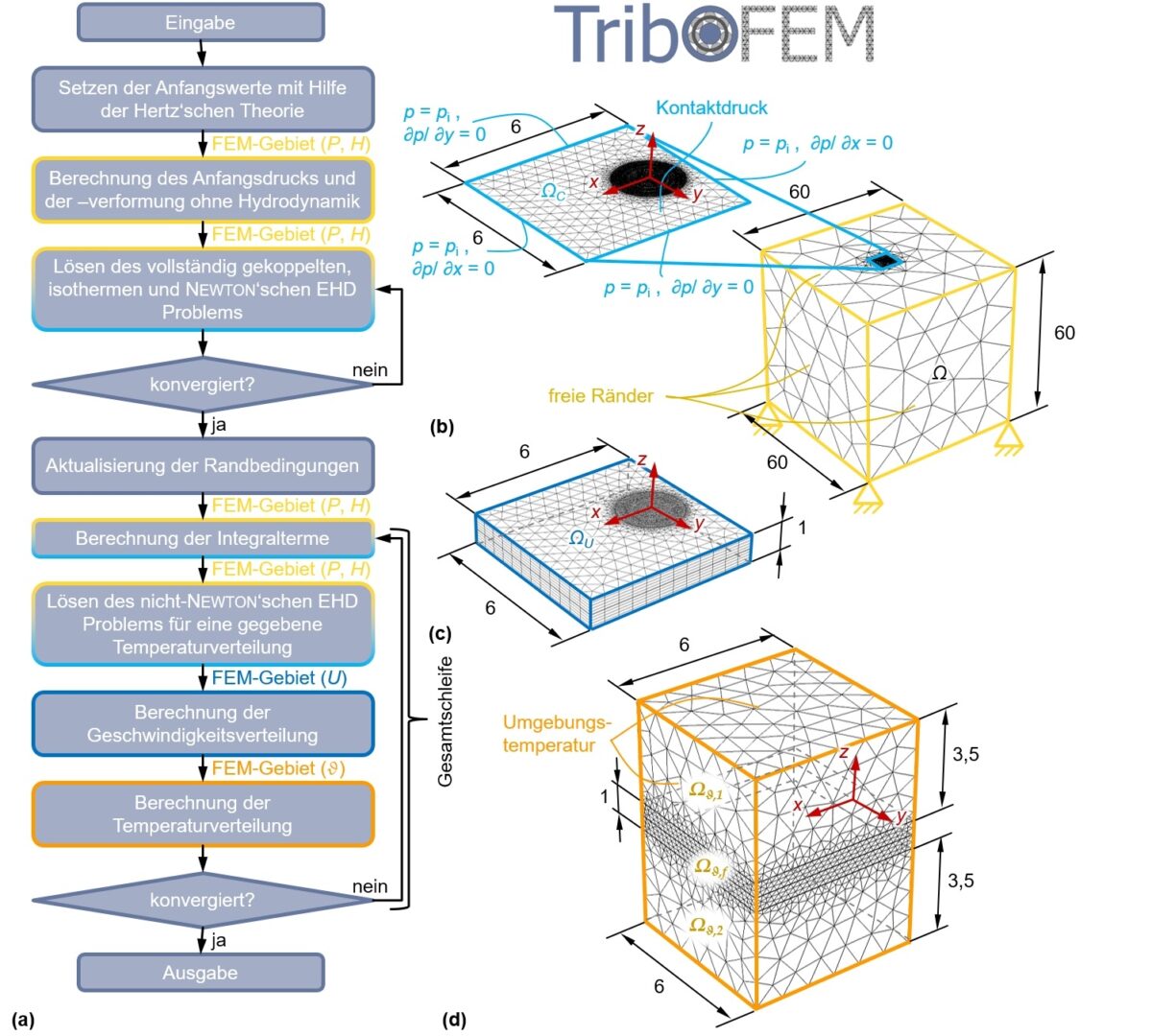 Bild 1: Numerisches Lösungsschema der TEHD Simulation TriboFEM in COMSOL Multiphysics (a) mit den Berechnungsgebieten für die elastische Deforma-
tion (b) , der Fluidgeschwindigkeit (c) und der Temperatur (d) nach [15]. Grafik: S. Wirsching