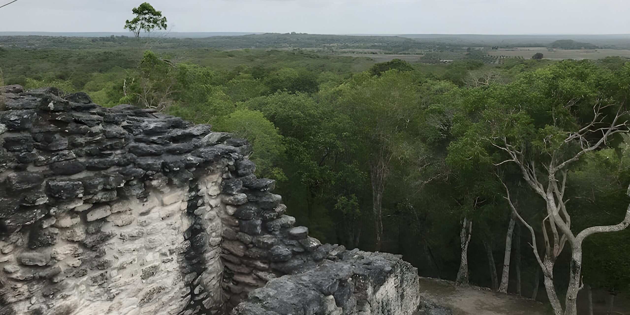 Discovering an ancient Mayan city – what do the rainforests hide?