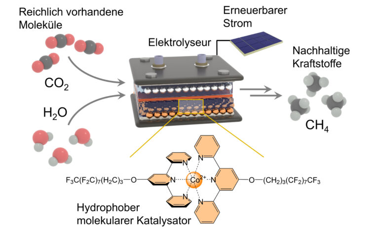 So funktioniert das Bonner Verfahren: Der hydrophobe molekulare Katalysator (unten) – hält die H2O-Moleküle im Elektrolyseur (oben) vom aktiven Zentrum fern. Zugleich entreißt er Wassermolekülen Wasserstoff-Atome und schafft diese zum aktiven Zentrum, wo sie mit dem Kohlenstoff-Atom zu Methan reagieren. Foto: Nikolay Kornienko