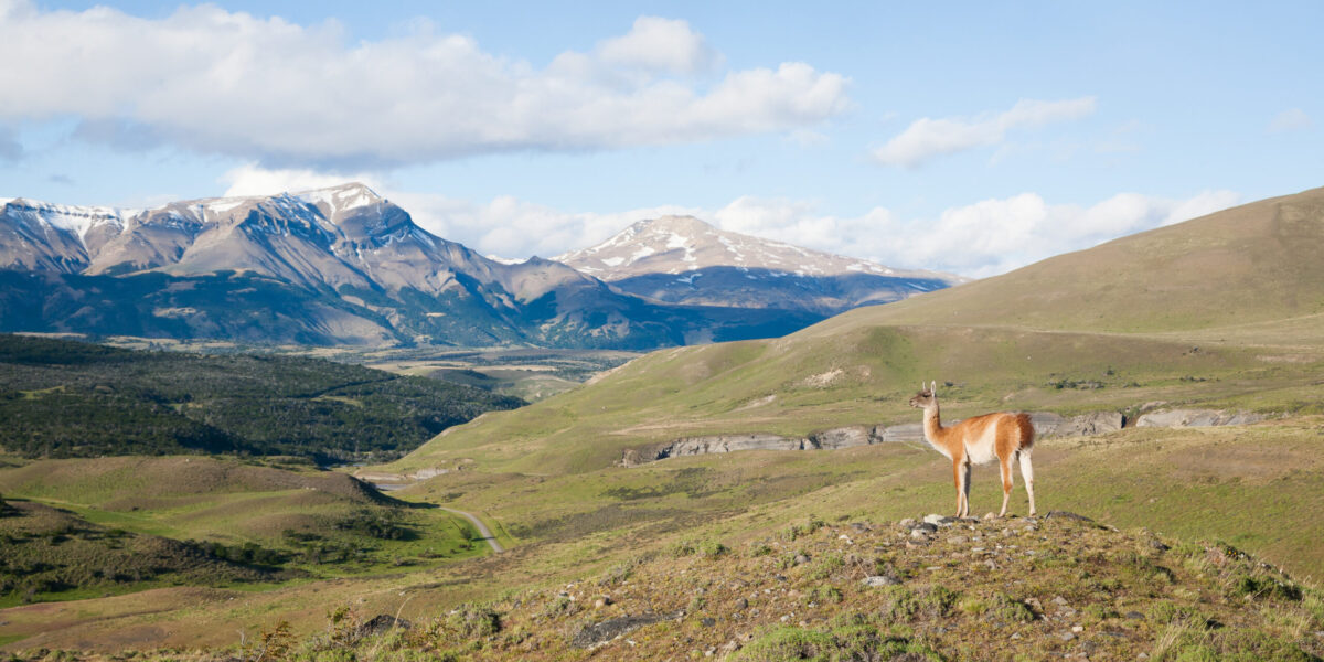 Nationalpark Torres del Paine