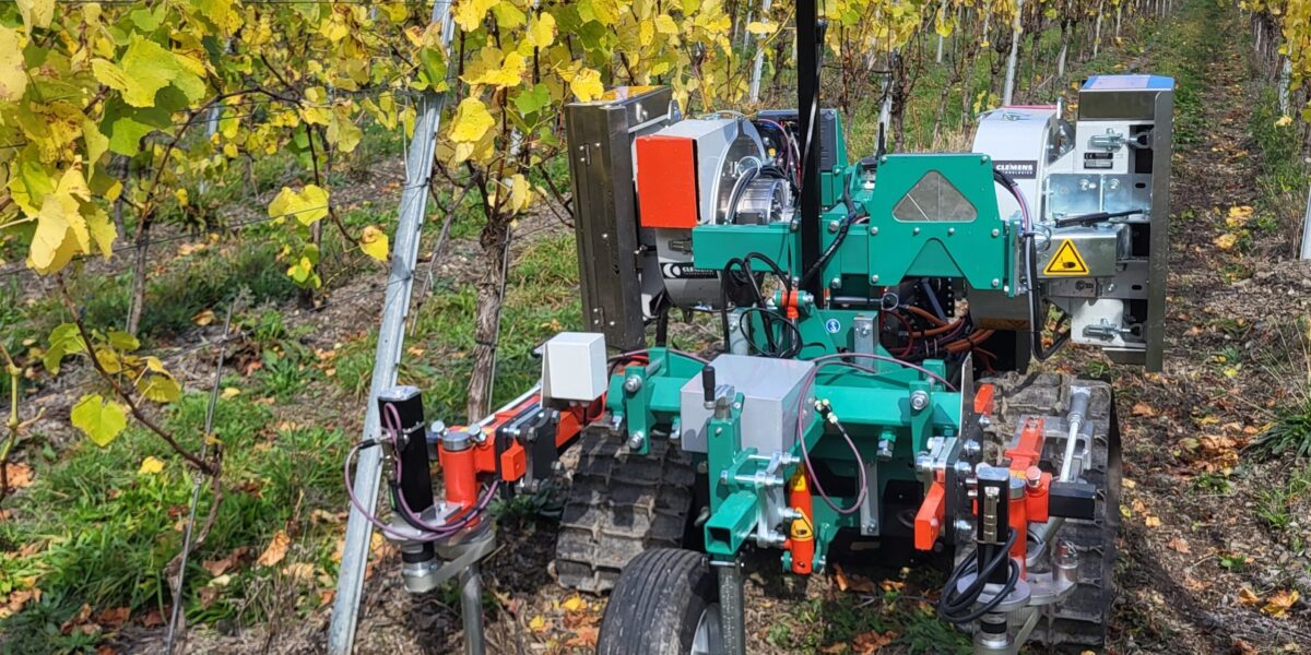 Mit solchen Robotern erprobte die Universität Koblenz den Einsatz mobiler 5G-Netze im Weinberg. Foto: Maria Wimmer