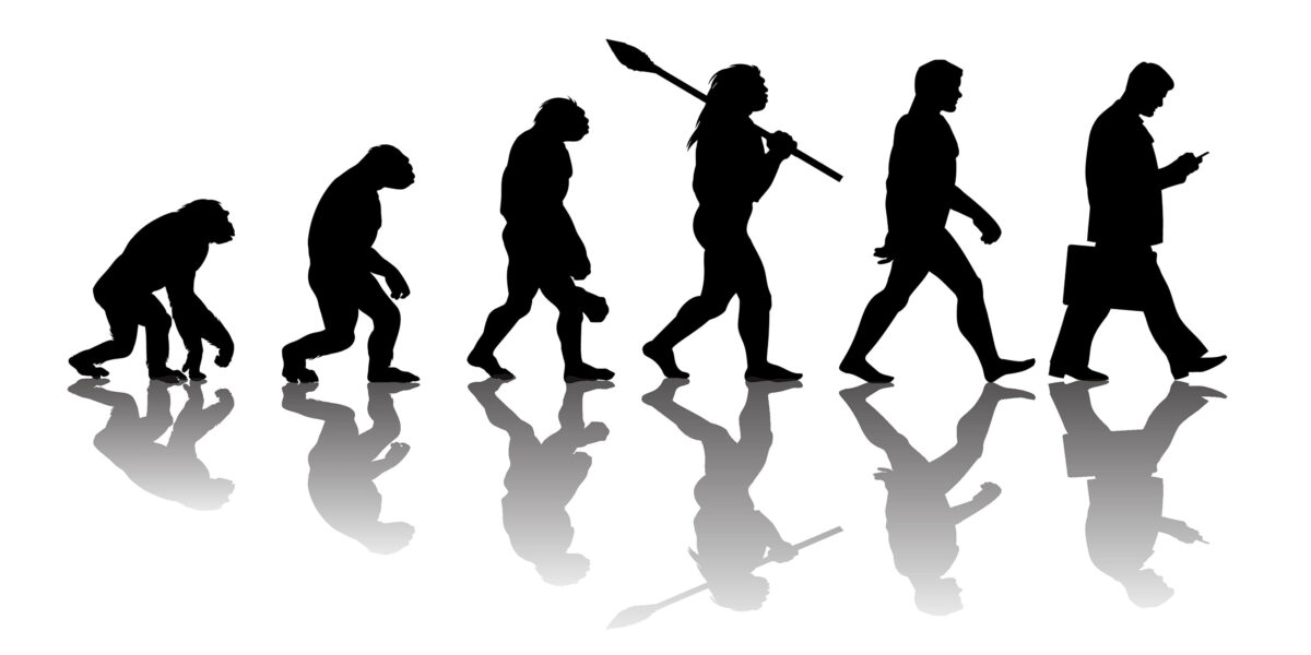 Evolution Mensch