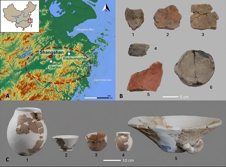 (A) Lage der Fundstätten Shangshan, Qiaotou und Xiaohuangshan sowie Verbreitung der Shangshan-Kultur. (B) Ausgewählte analysierte Keramikfragmente. (C) Entsprechende vollständige Gefäße. Foto: IGG