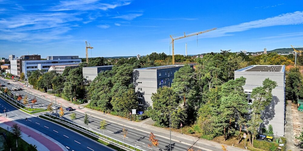 Blick auf ein grünes Stadtviertel, in dem Gebäude energetisch saniert wurden für mehr Klimaneutralität.